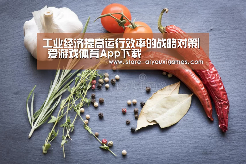 工业经济提高运行效率的战略对策| 爱游戏体育App下载(图1) 爱游戏体育App下载